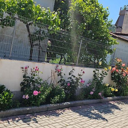 Aliaj Guest House ベラト エクステリア 写真